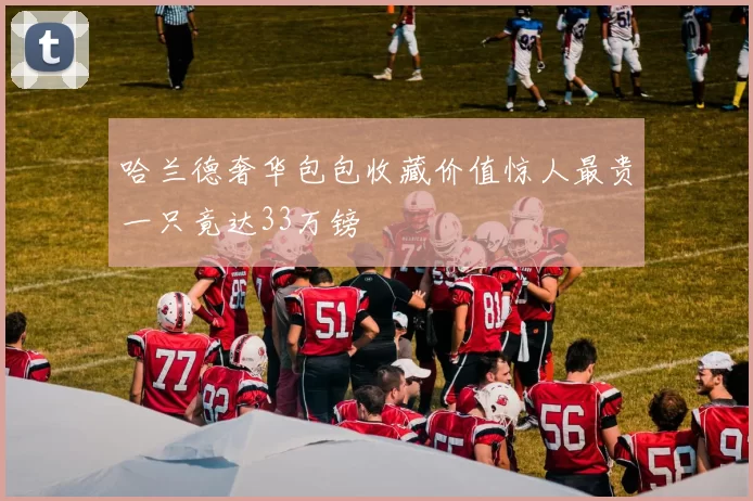 哈兰德奢华包包收藏价值惊人最贵一只竟达33万镑
